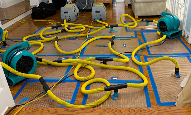 Professional Structural Drying And Dehumidification technician working in Centralia, IL